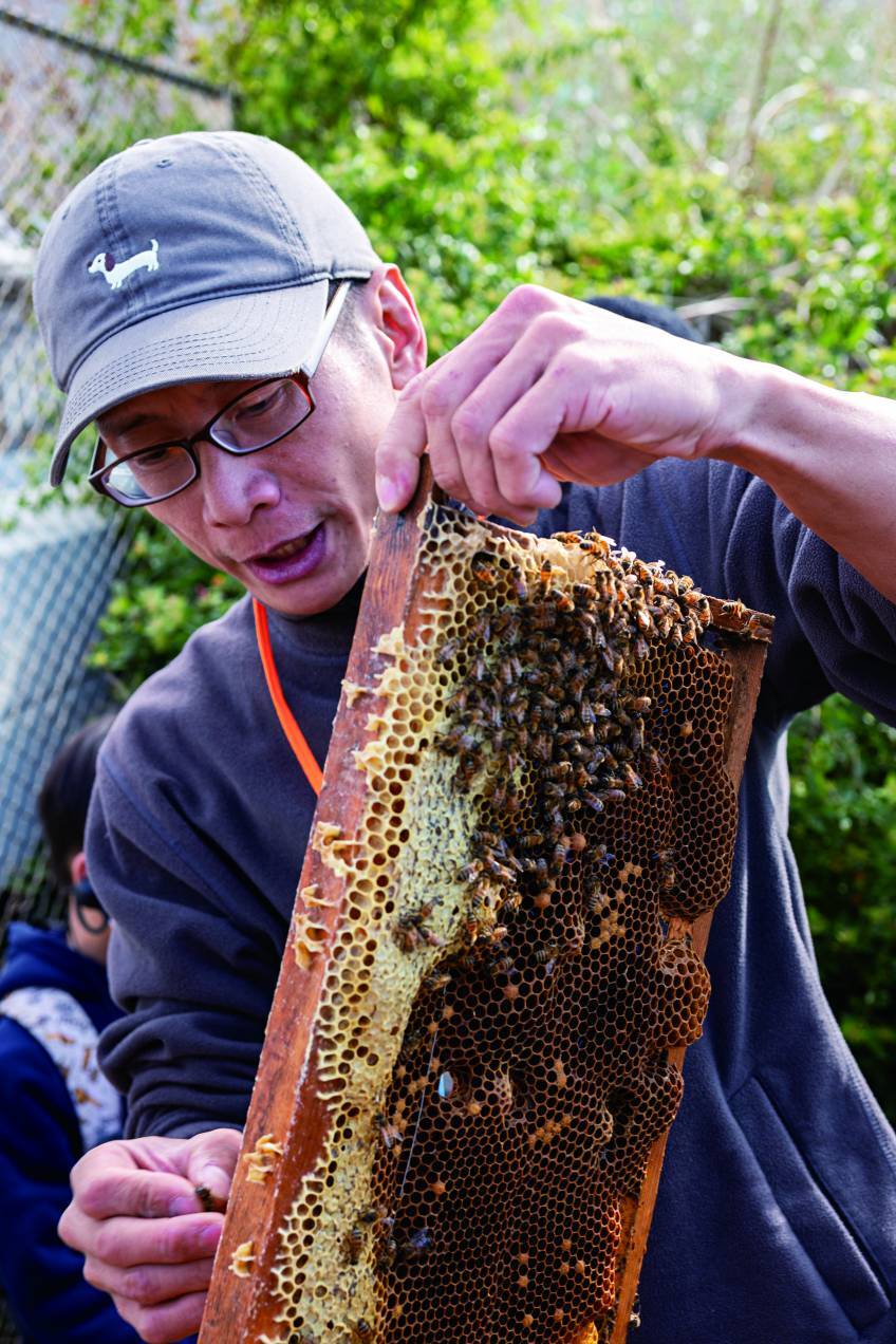 步道設施的維護是企業與民間團體經常參與的合作項目／雪管處 提供
